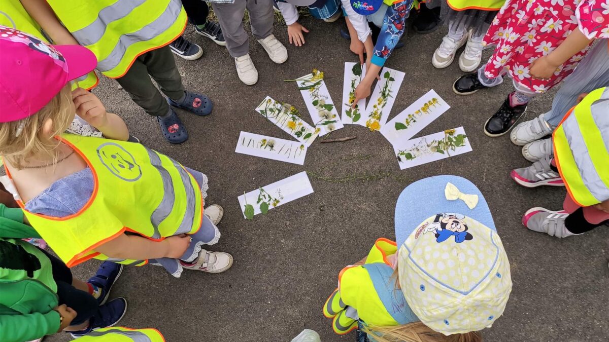 Envirohry pre deti v rámci osláv Natura 2000 v CHKO Horná Orava.